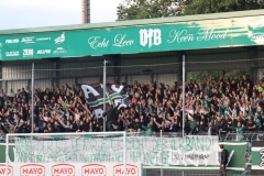 werder2_1