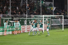werder2_3