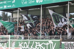 werder2_4