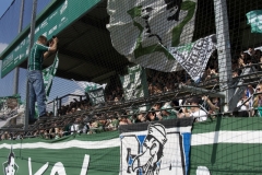 Bild-11