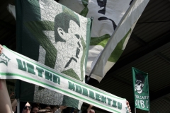 Bild-15