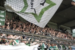 Bild-16
