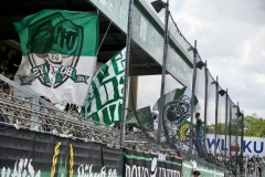 Bild-19