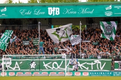 Bild-7